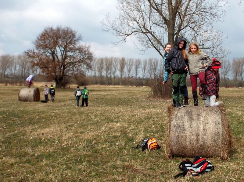 DSCF5147.JPG