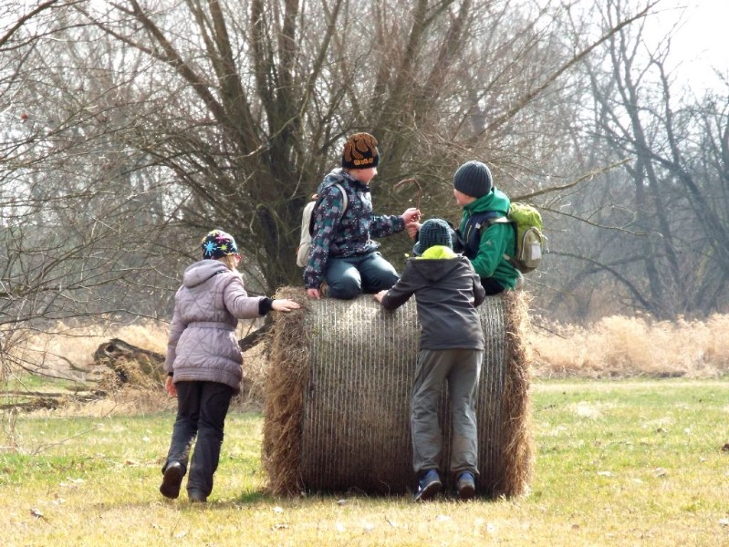DSCF5162.JPG