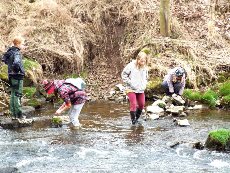 DSCF5233.JPG