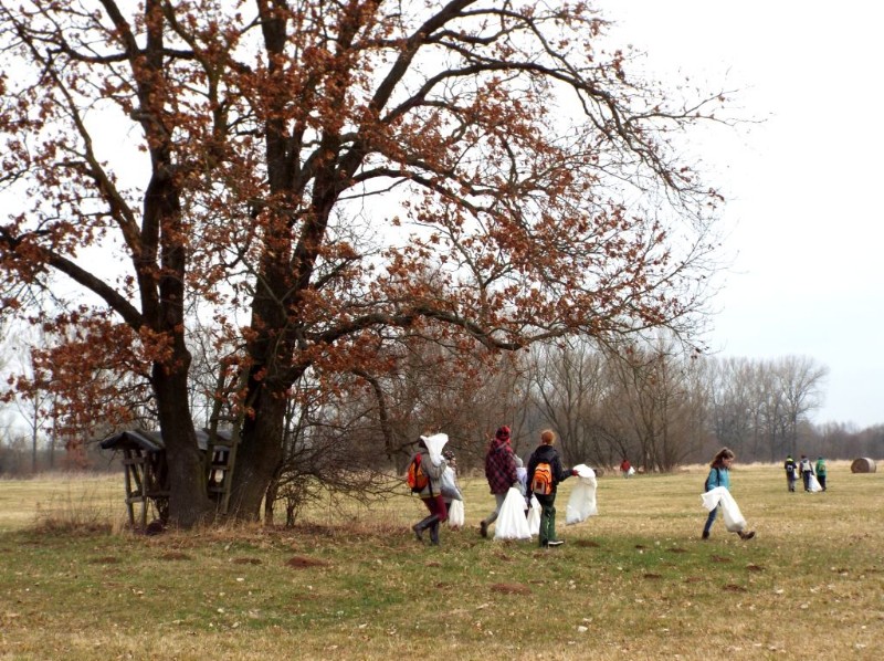 DSCF4862.JPG