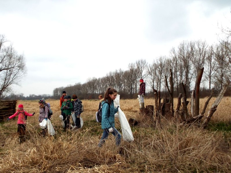 DSCF4953.JPG