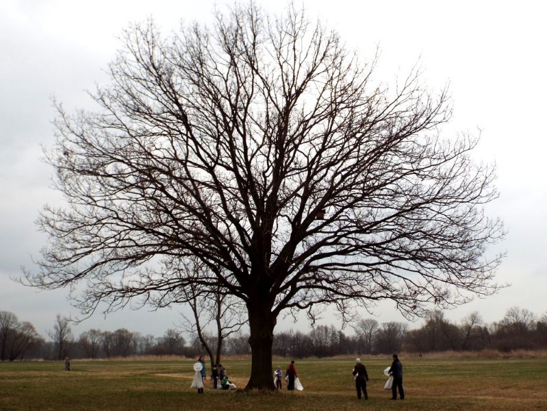 DSCF4998.JPG