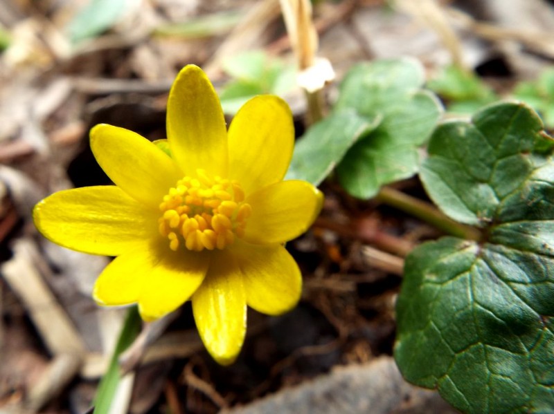 DSCF5062.JPG