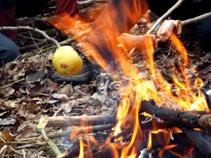 DSCF4176.JPG