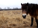 DSCN2257.JPG