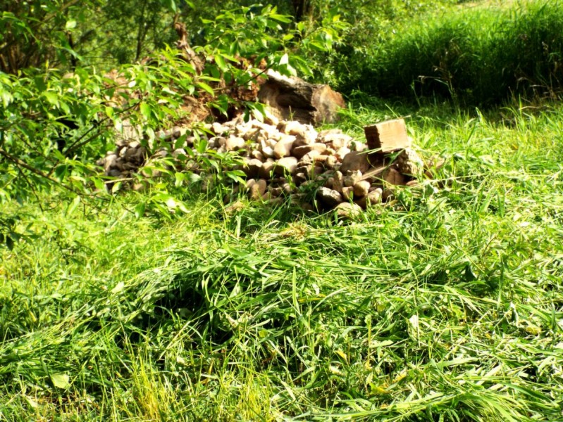 DSCF0950.JPG