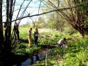 DSCF0288.JPG