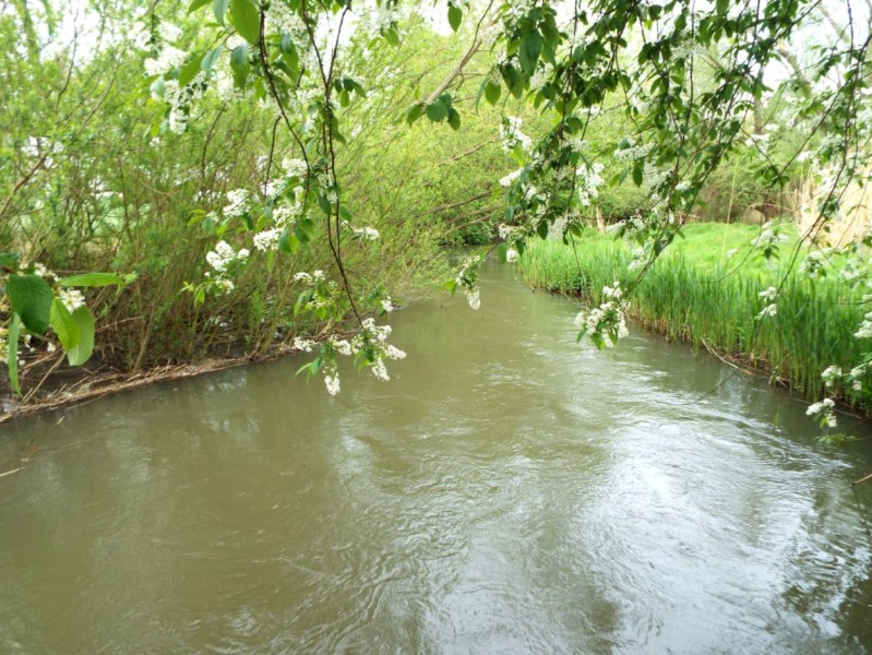 DSCF0566.JPG