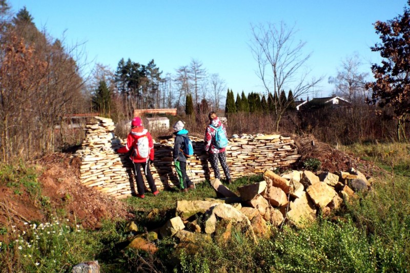 DSCF8492.JPG