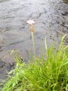 DSCN0033.JPG
