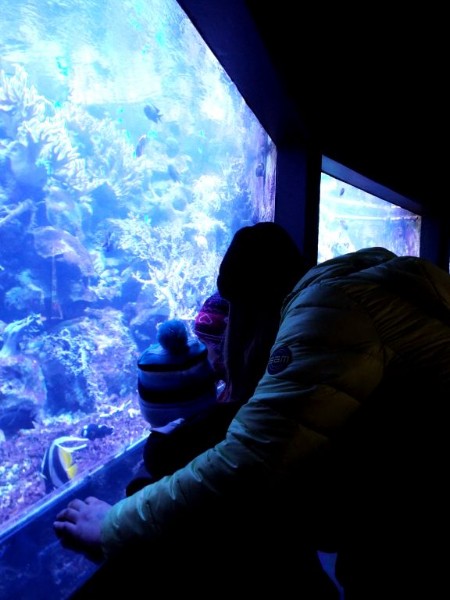 DSCF2366.JPG