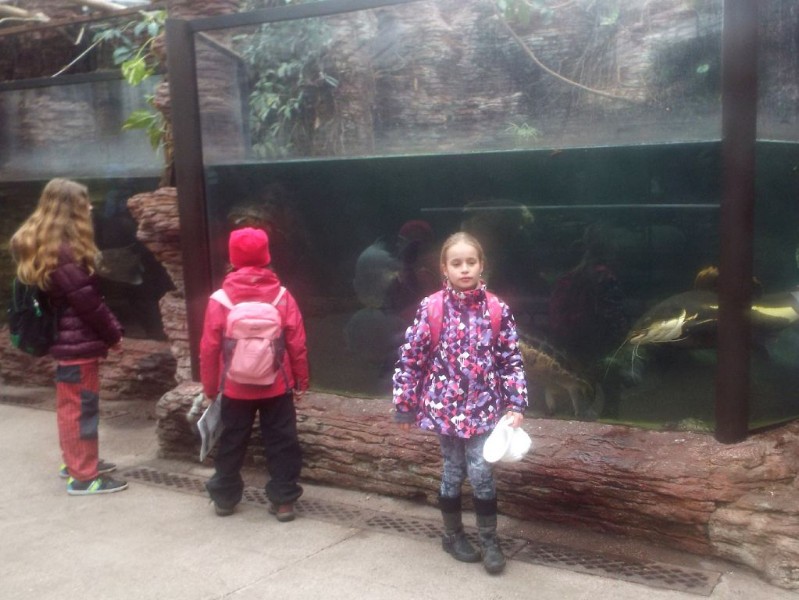DSCF2376.JPG